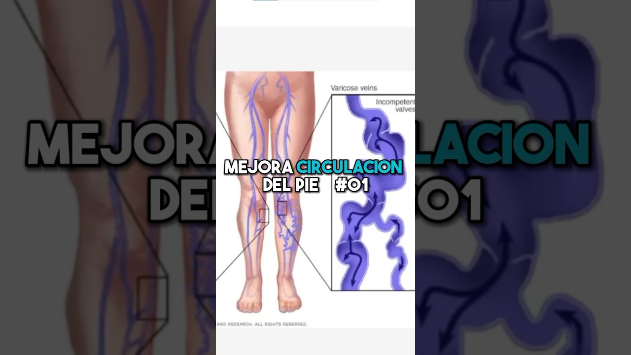 ➡️ Masaje para mejorar la circulaci&oacute;n de las piernas ☝🏻 P1 #fisioterapiatualcance