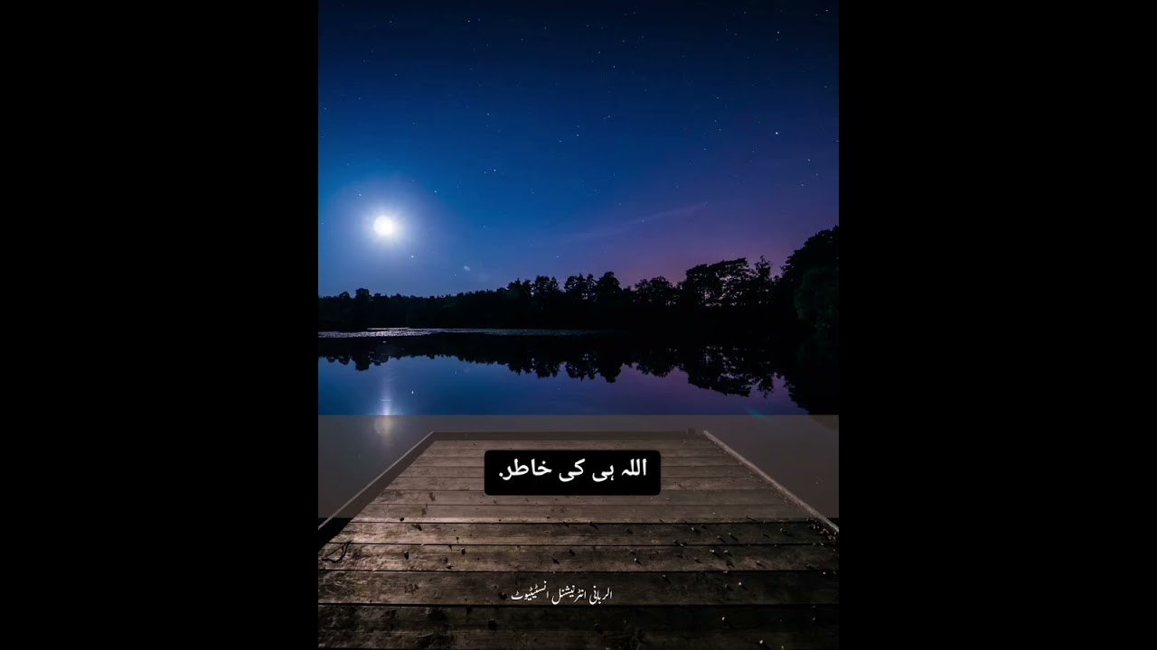 19 فبراير 2026