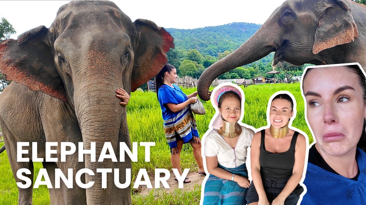 Unforgettable Day at a Elephant Sanctuary in Chiang Mai 🇹🇭 | Vlog | POPPY OWEN