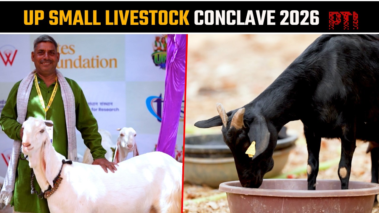 UP Small Livestock Conclave 2026: Boosting Rural Economy Through Scientific Animal Husbandry