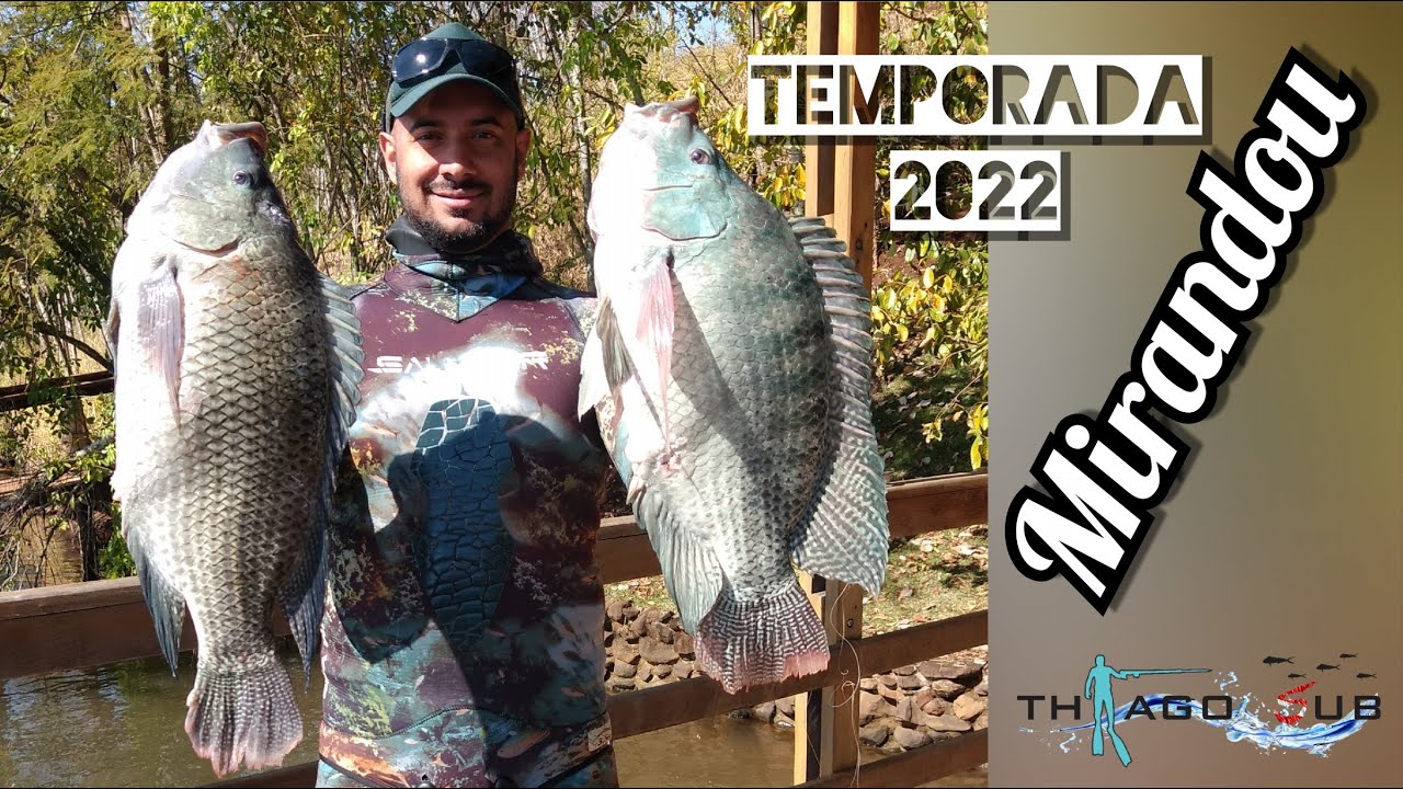 PESCA SUB - LAGO DE MIRANDA AGOSTO 2022 - THYAGO SUB