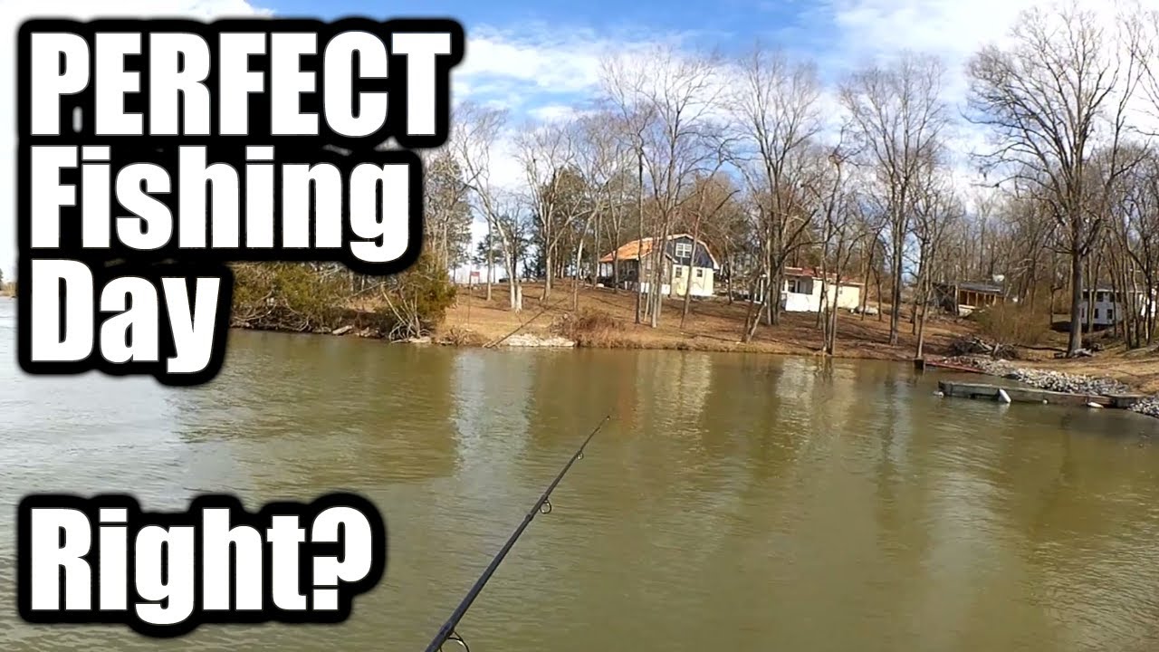 PERFECT DAY for Fishing and NOT Catching Anything? Realistic Fishing