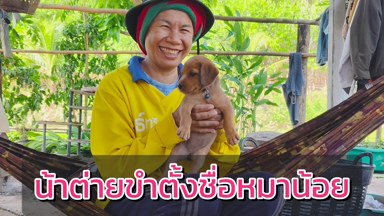 น้าต่ายขำตั้งชื่อหมาน้อย