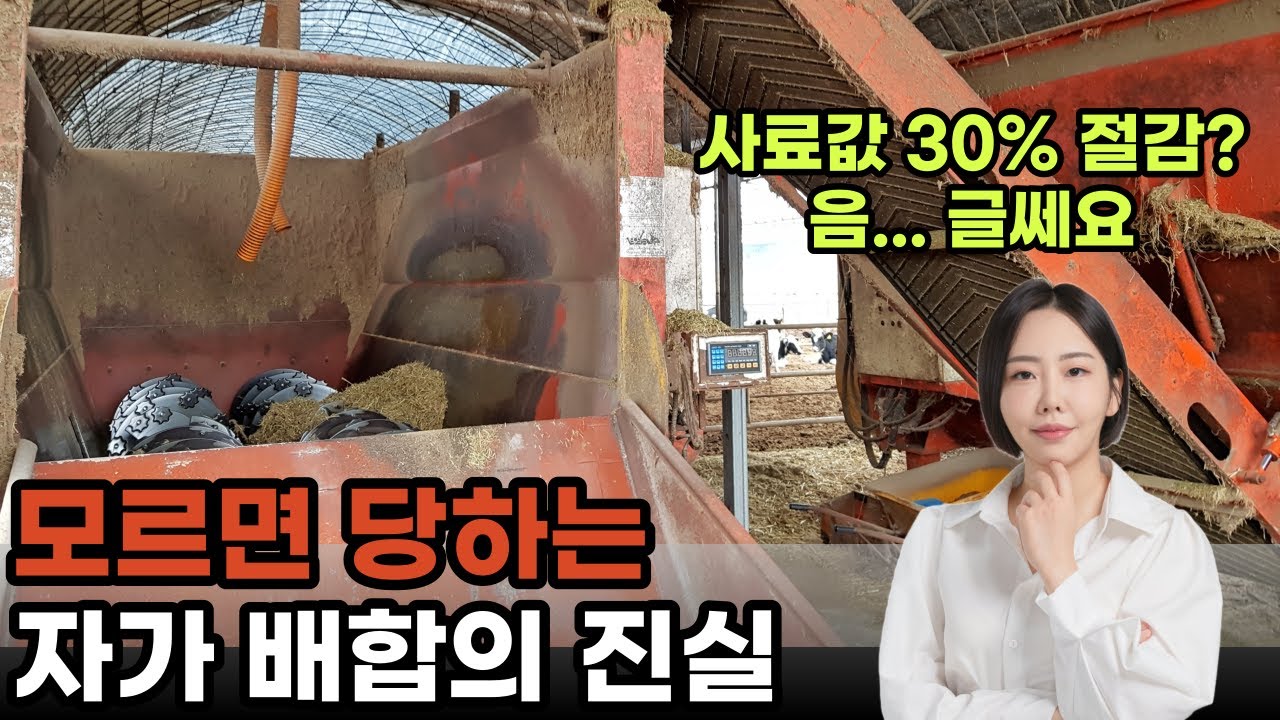 한우 사료값 아끼려고 시작했다가 빚만 늘어나는 이유 (TMR사료, 자가배합)