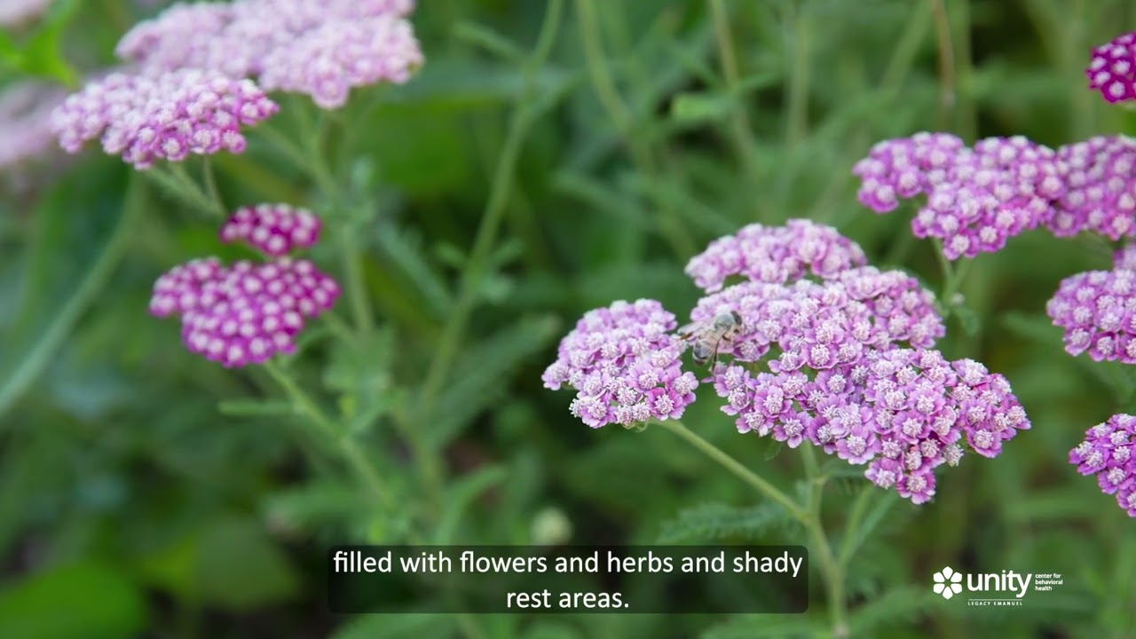 Healing Through Nature