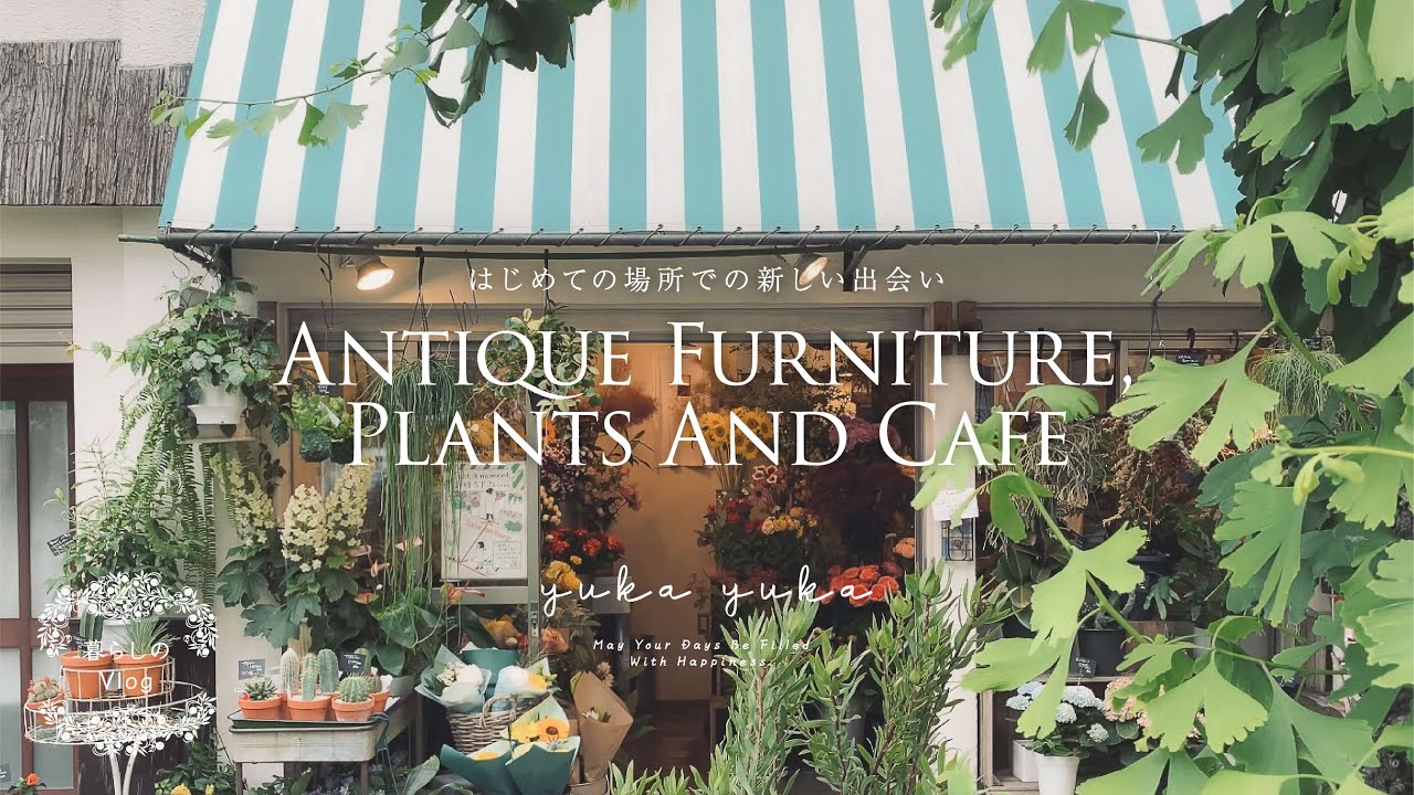 【TOKYO LIFE】ANTIQUE FURNITURE PLANTS AND CAFE｜目黒アンティークショップ巡り｜カフェ｜vlog