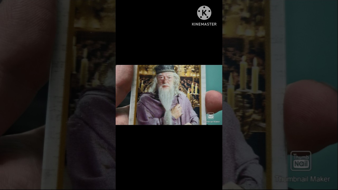 I pulled an Albus Dumbledore Chocolate Frog Card