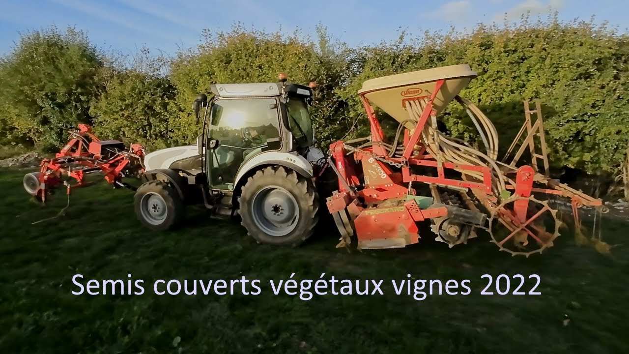 Semis couverts v&eacute;g&eacute;taux vignes charentaise 2022