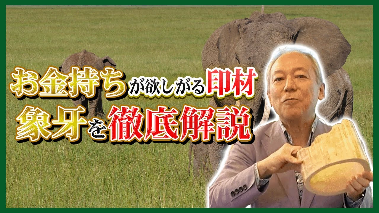 【お金持ちの共通点】超希少部位象牙を徹底解説/なぜ金持ちは「象牙」を選ぶのか？/象牙が持つ不思議な力/ボランティア/象の密猟