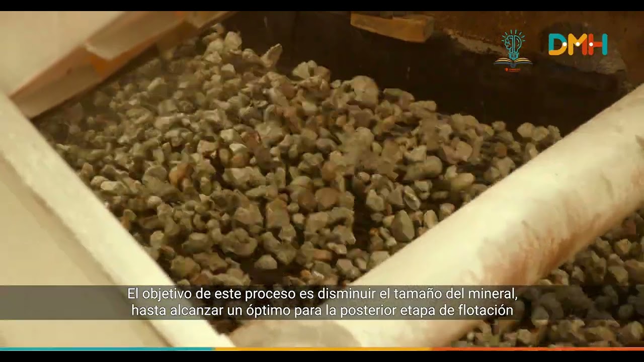 Proceso Concentradora DMH 2023