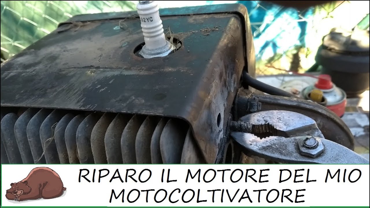 Riparazione del motore del motocoltivatore Grillo