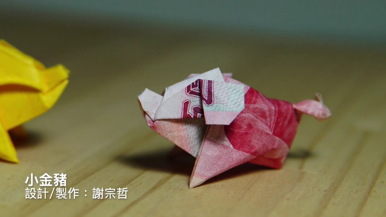 小金豬