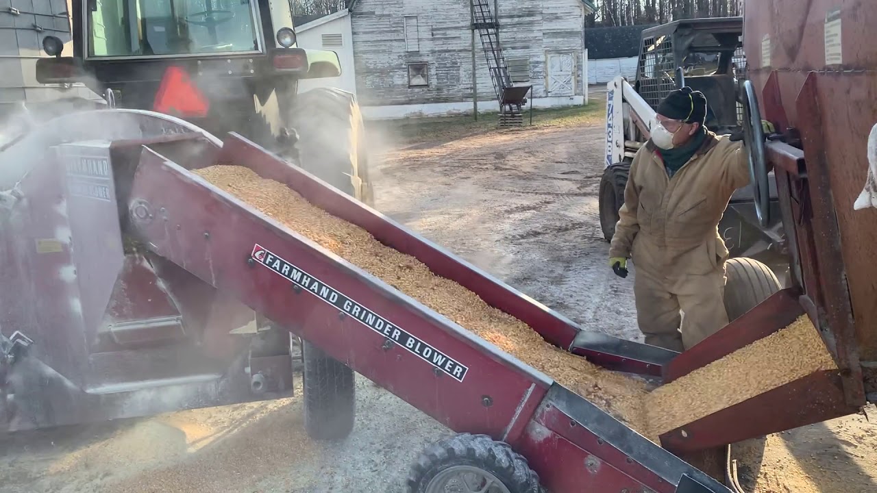 Farmhand Grinder Blower filling silo