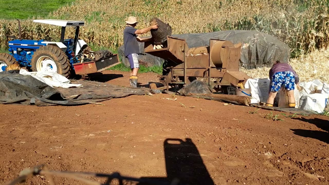 Batemos um milhão 🌽 🌽 🌽 