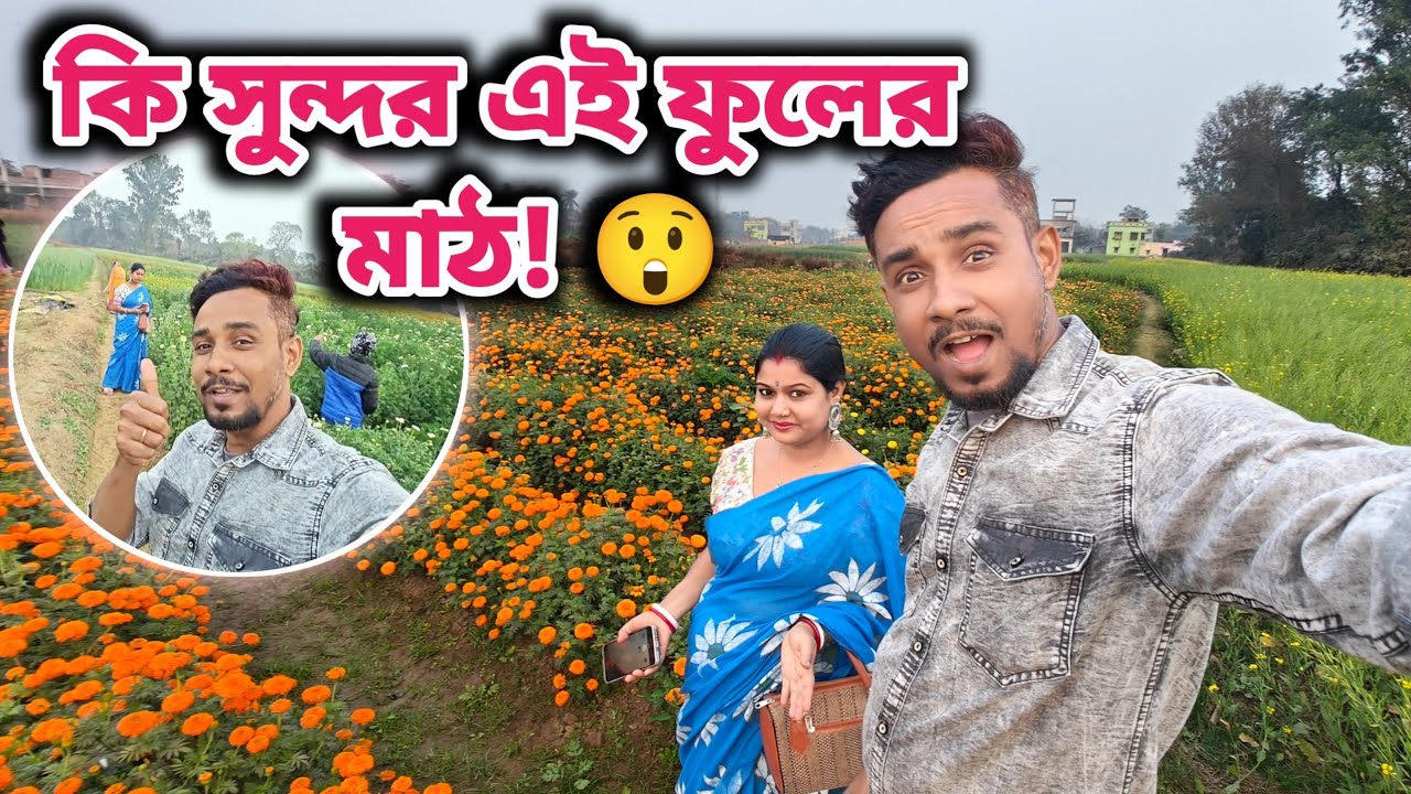 এমন ফুলের মাঠ আগে দেখেননি 😍 | Flower Field Tour