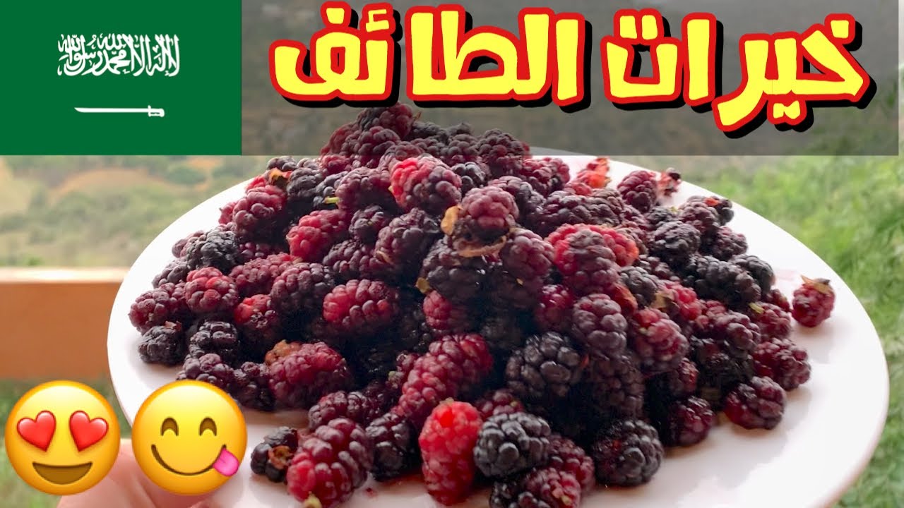 جولة في الشفا الطائف مع الأسعار  - أفضل فنادق الطائف