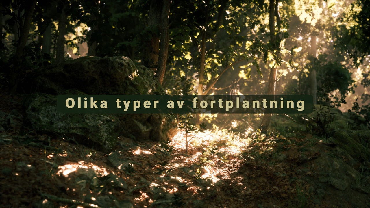 Olika typer av fortplantning Trailer (1914KM)