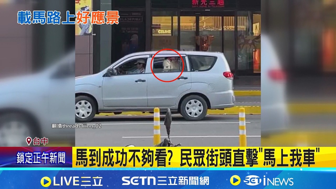 馬到成功不夠看? 民眾街頭直擊