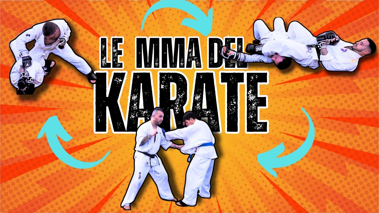 MMA - Arti Marziali Miste a confronto - versione Zendokai