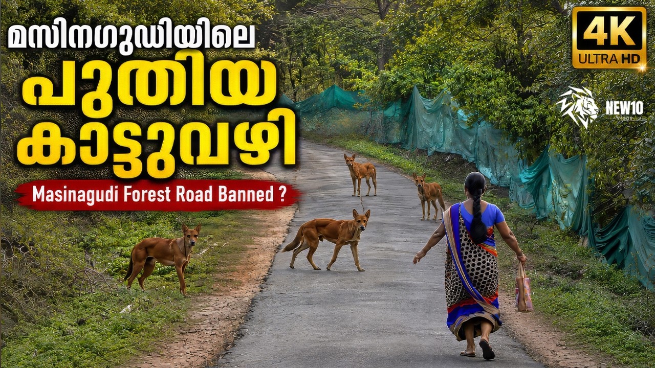 Masinagudi forest road banned ???  4K