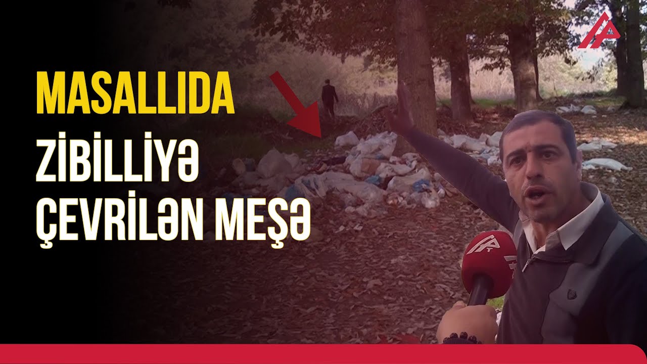 Masallıda ekoloji fəlakət: Zibilləri daşıyıb meşəyə atırlar - APA TV