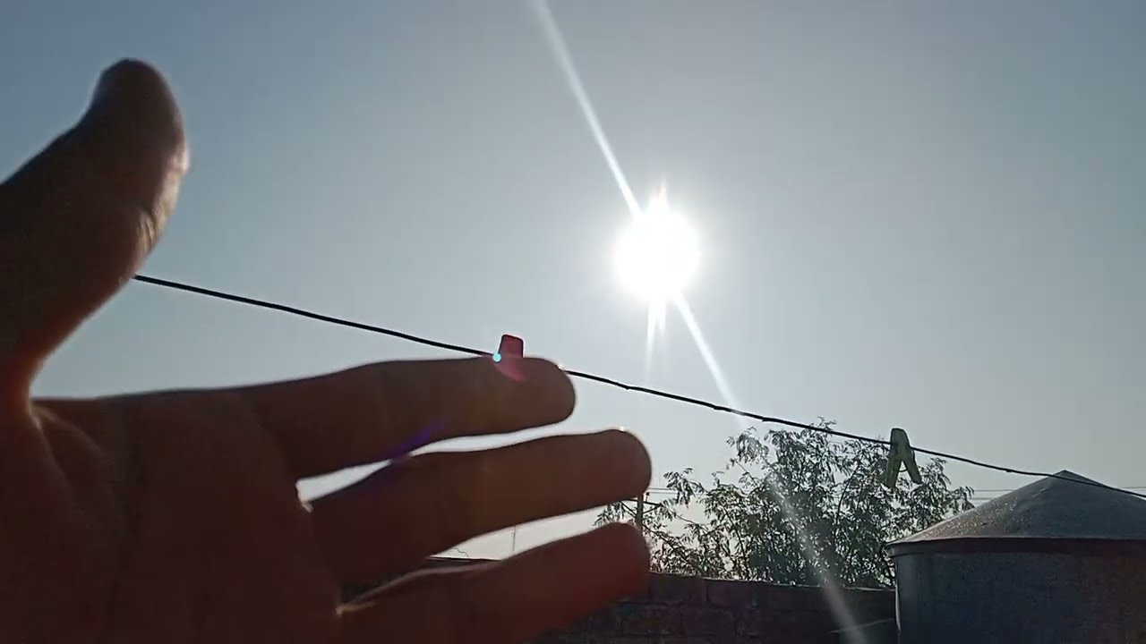 Mashallah Parrot video kabutar new Multan Birds