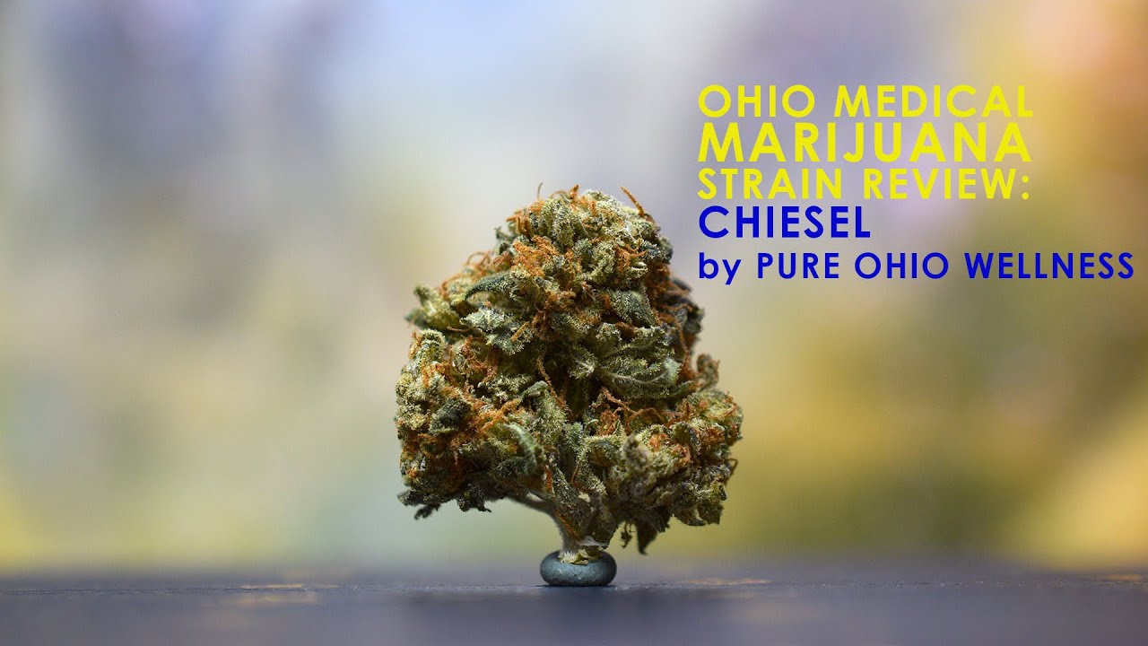 Ohio Medical Marijuana Strain Review - Chiesel by Pure Ohio Wellness