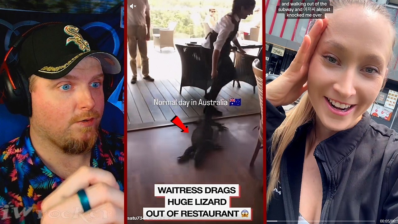 just a normal day in Australia ...🦎🎉⚠️