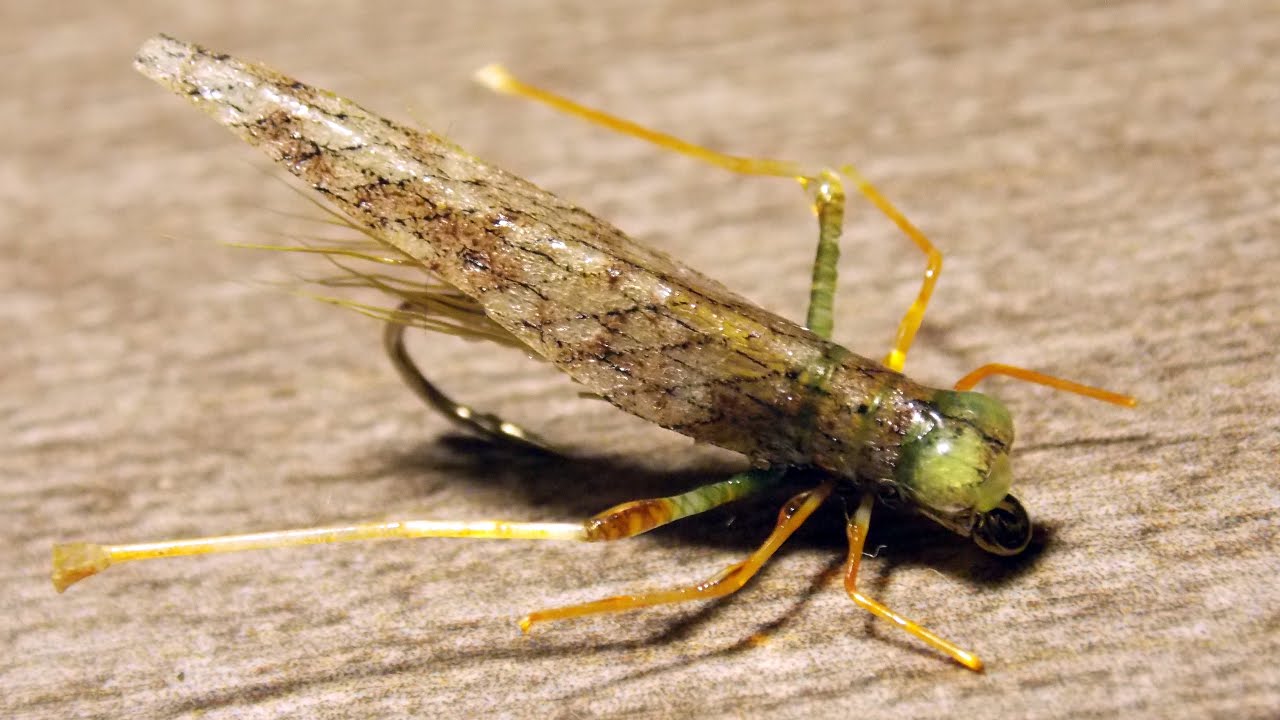 Grasshopper fly tying instructions by Ruben Martin