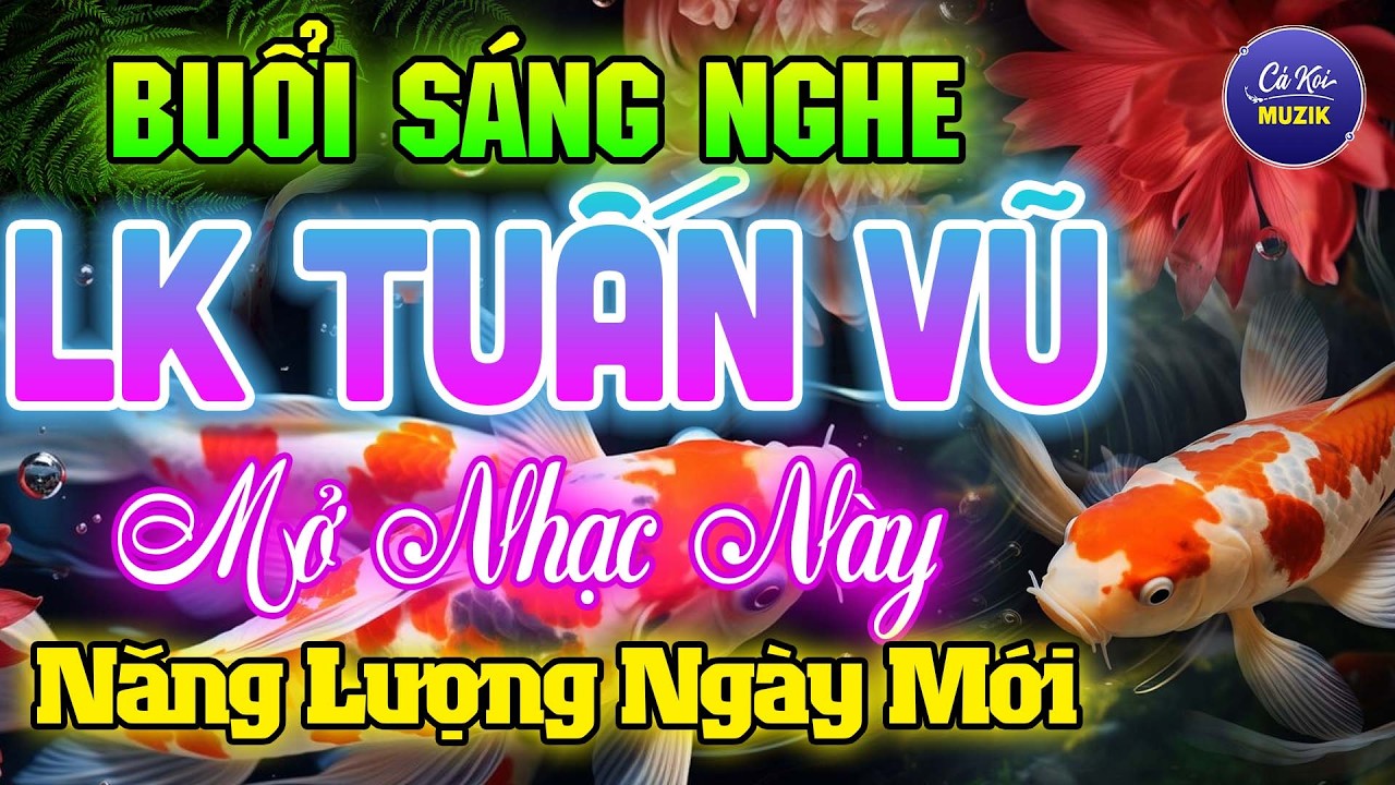 Đỉnh Cao LK Tuấn Vũ Không Lời Thư Giãn NĂNG LƯỢNG NGÀY MỚI Nhạc Hay Dễ Ngủ -Hòa Tấu Guitar Hải Ngoại