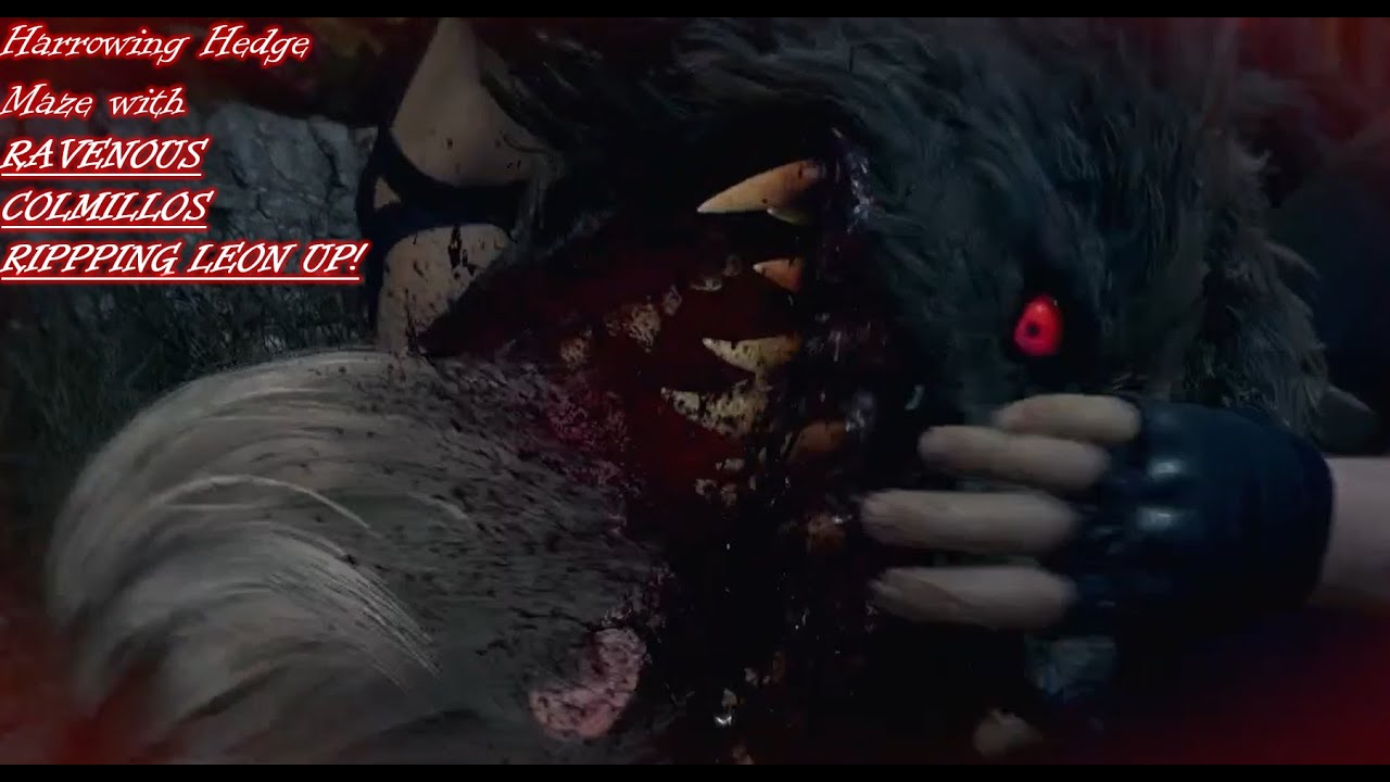 Blood craving BEASTS and MORE ZEALOT Ambushes!