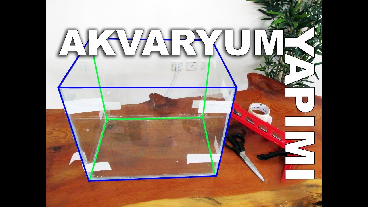 Akvaryum Nasıl Yapılır | Evde Akvaryum Yapımı