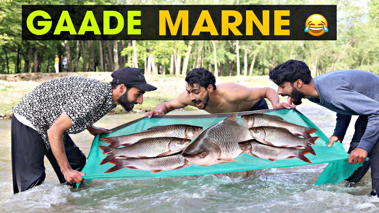 Gaade Marne Kashmiri Funny Drama