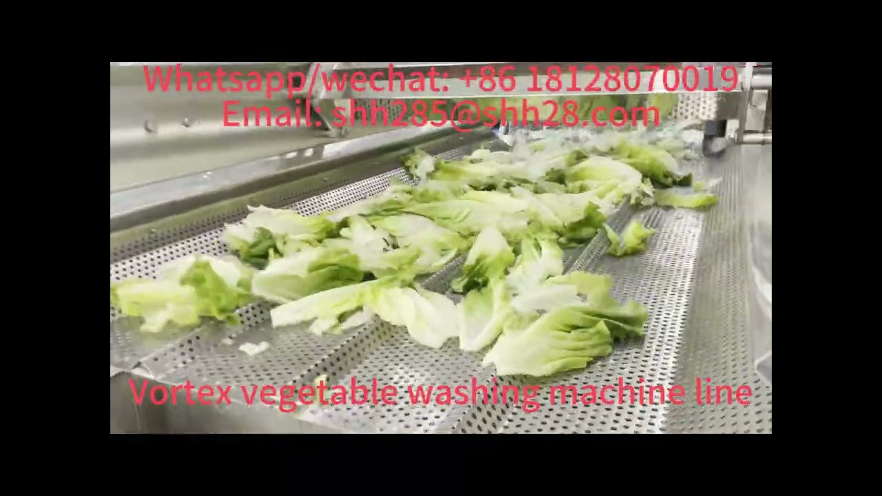 Vortex  vegetable washing machine ozone fruit cleaning machine lettuce washer cabbage cleaner