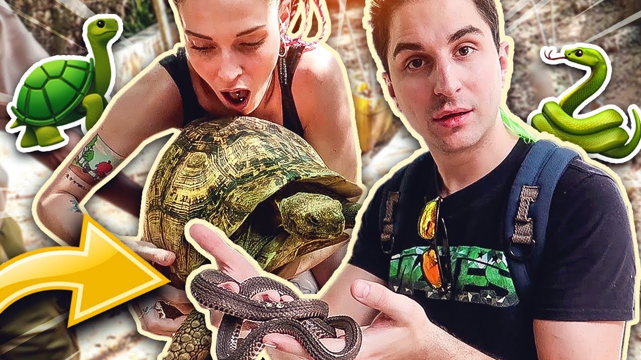KENYA #3 - ANIMA E LASABRI ALLA FATTORIA DI ANIMALI AFRICANI! TARTARUGA GIGANTE!