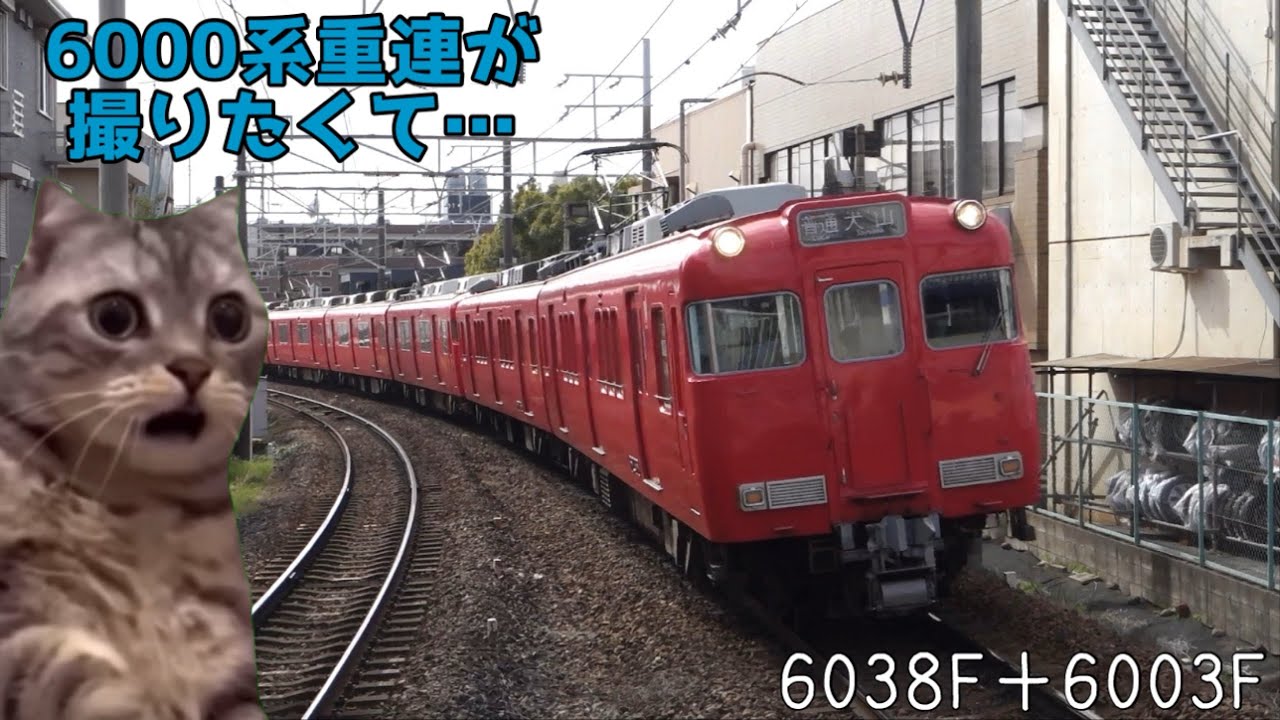 【猫ミーム】名鉄6000系同士の連結が撮りたい！