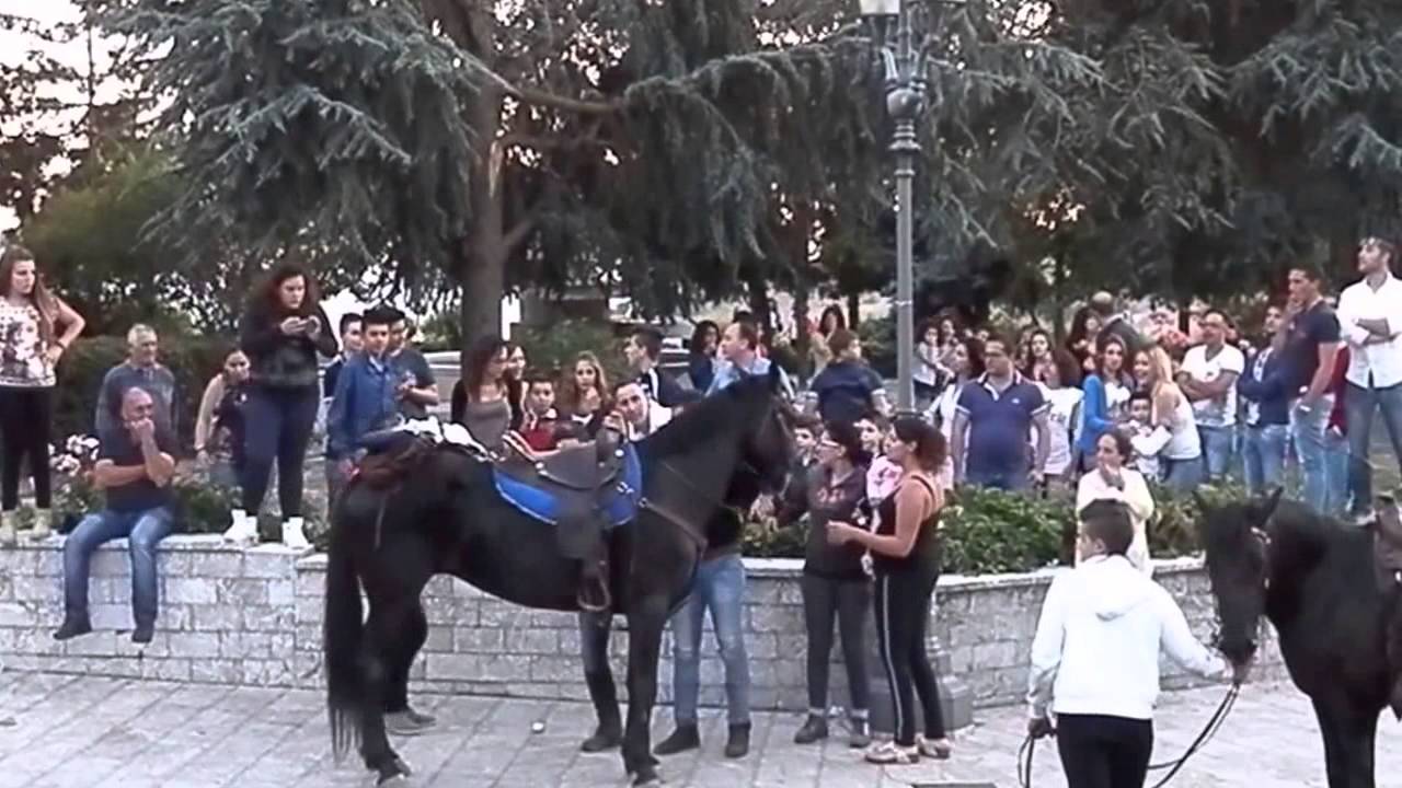 CESARO' - CAVALLA SCIVOLA SUL MARCIAPIEDE,.VIDEO FERRAMENTA CALOGERO SARANITI