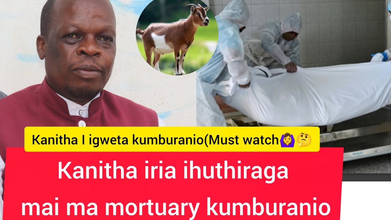 Kanitha iria ihuthiraga mai ma mortuary na mawaganu kumburanio 🙆‍♀️🙆‍♀️#trending #news #newsong 
