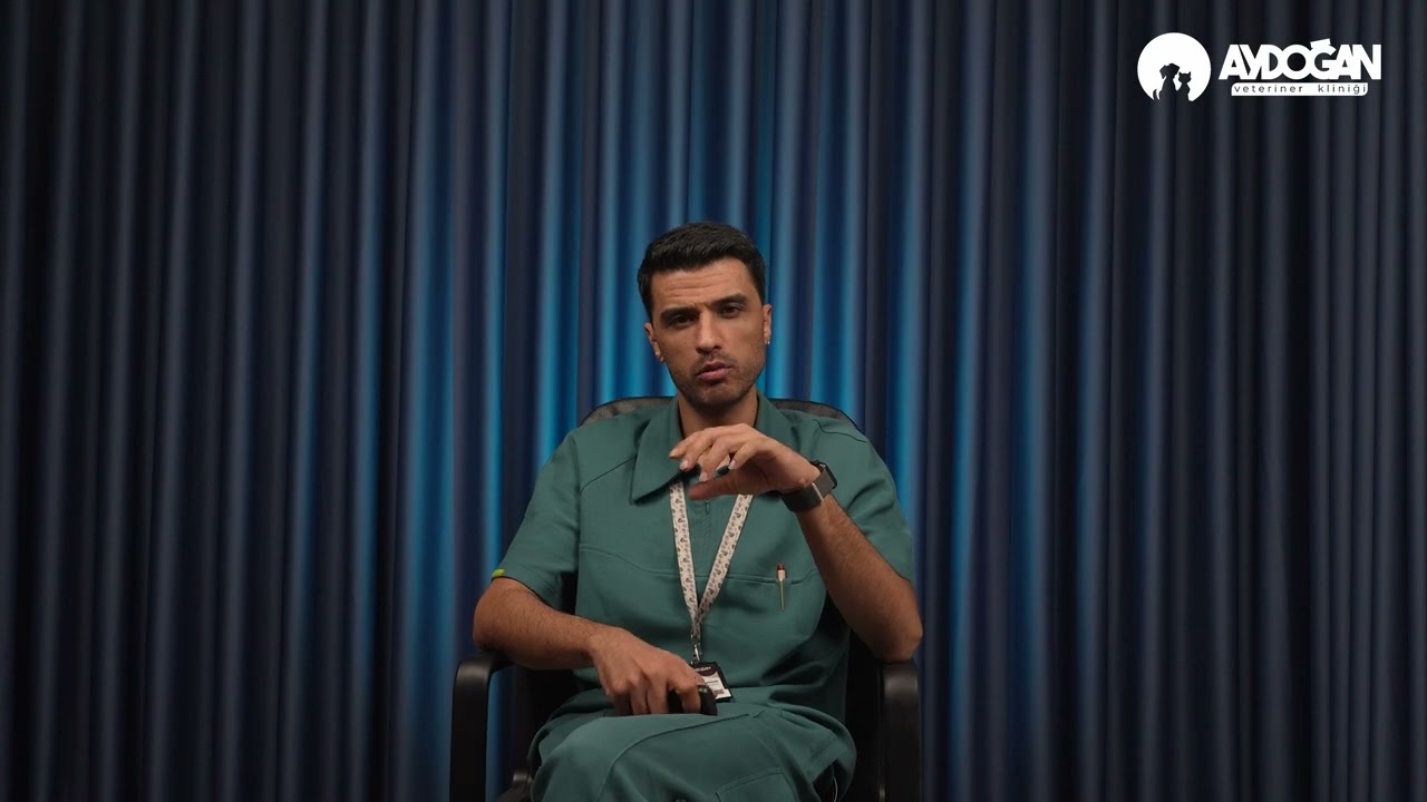 Kalp Kurdu Nedir ?