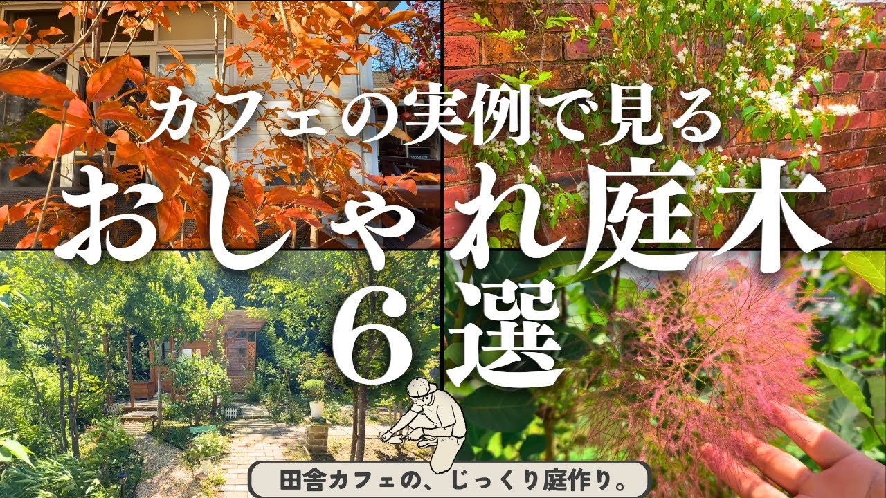 庭のオシャレはまず庭木から。庭カフェオーナーが選ぶ「今この庭木が好き６選」