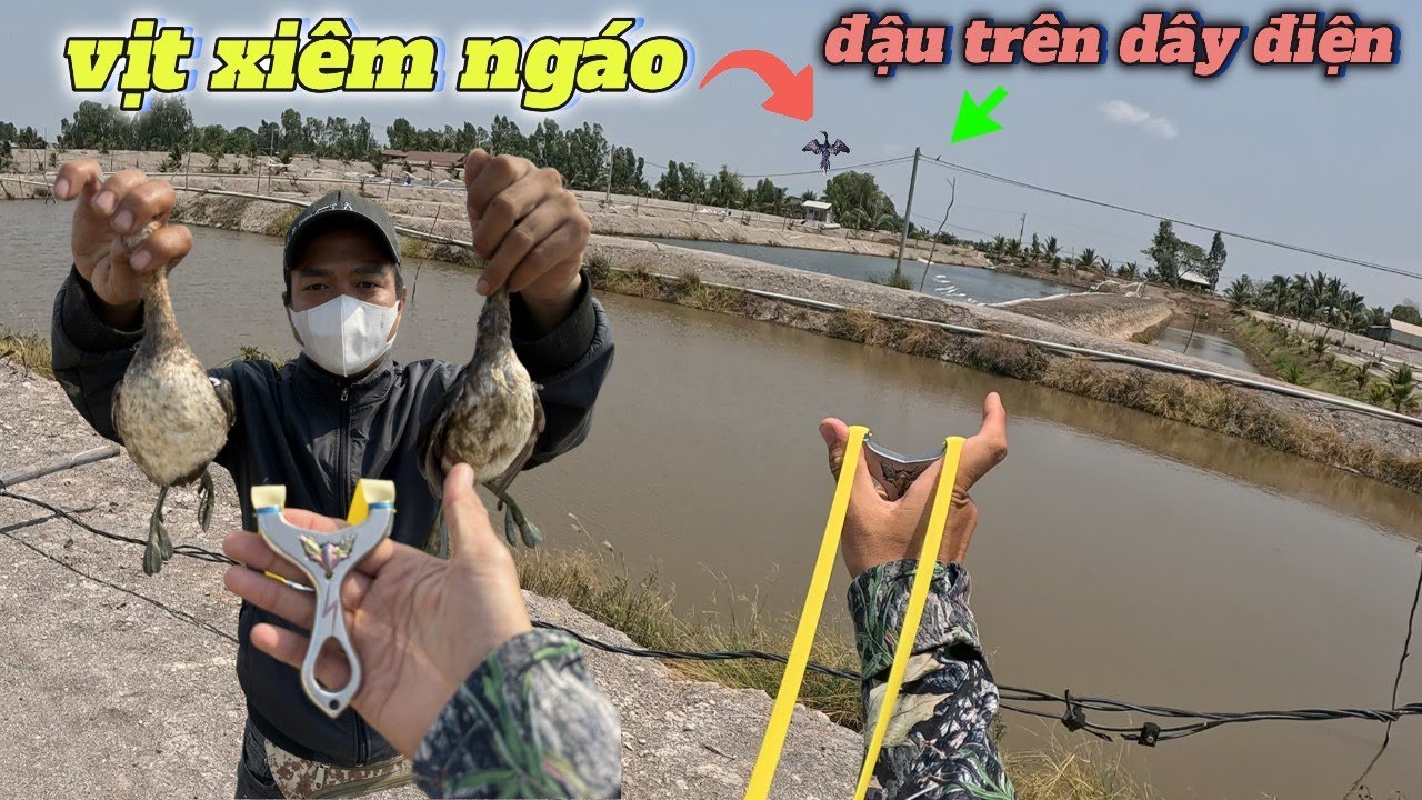 Đảm Nguyễn đi đám cưới Tuấn Nhỏ xong ra đi săn hạ toàn siêu phẩm tầm xa cùng team
