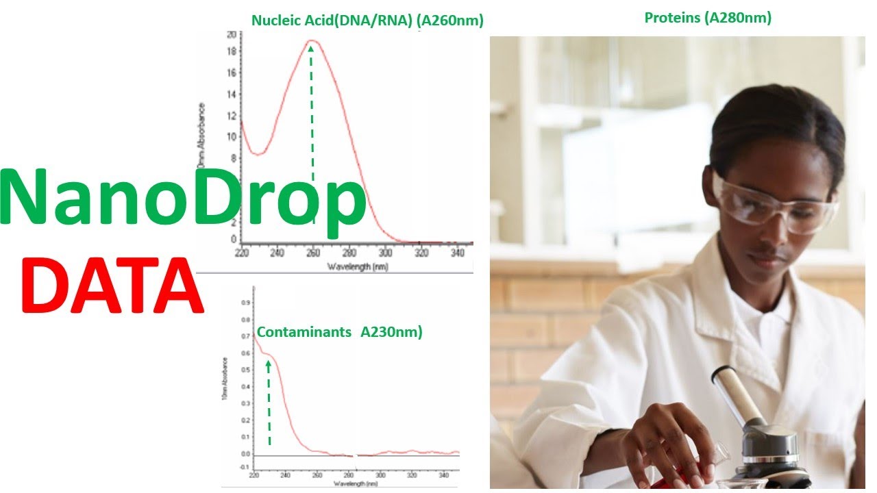 💧Mastering Biomolecule Measurements: DNA, RNA, and Protein Quantification with Nanodrop