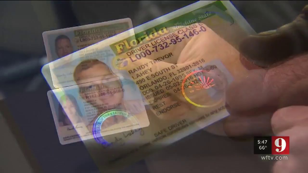 9 Investigates realistic fake IDs sold online WFTV