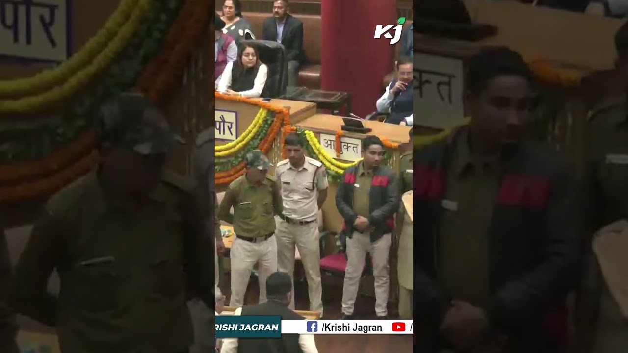 BJP alleges AAP irregularities in MCD standing committee poll #shortsnewsvideo