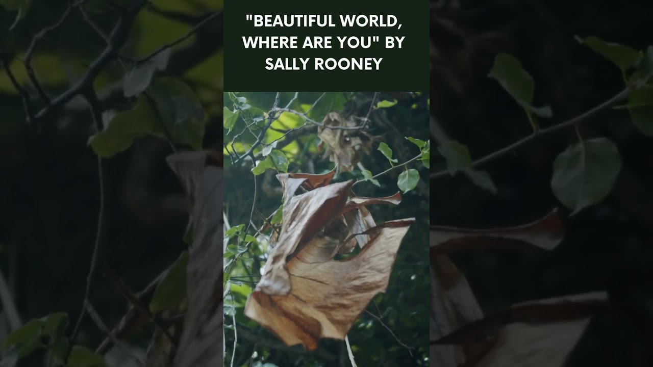 📚 Book Summary: Beautiful World, Where Are You by Sally Rooney 🌍✨💖