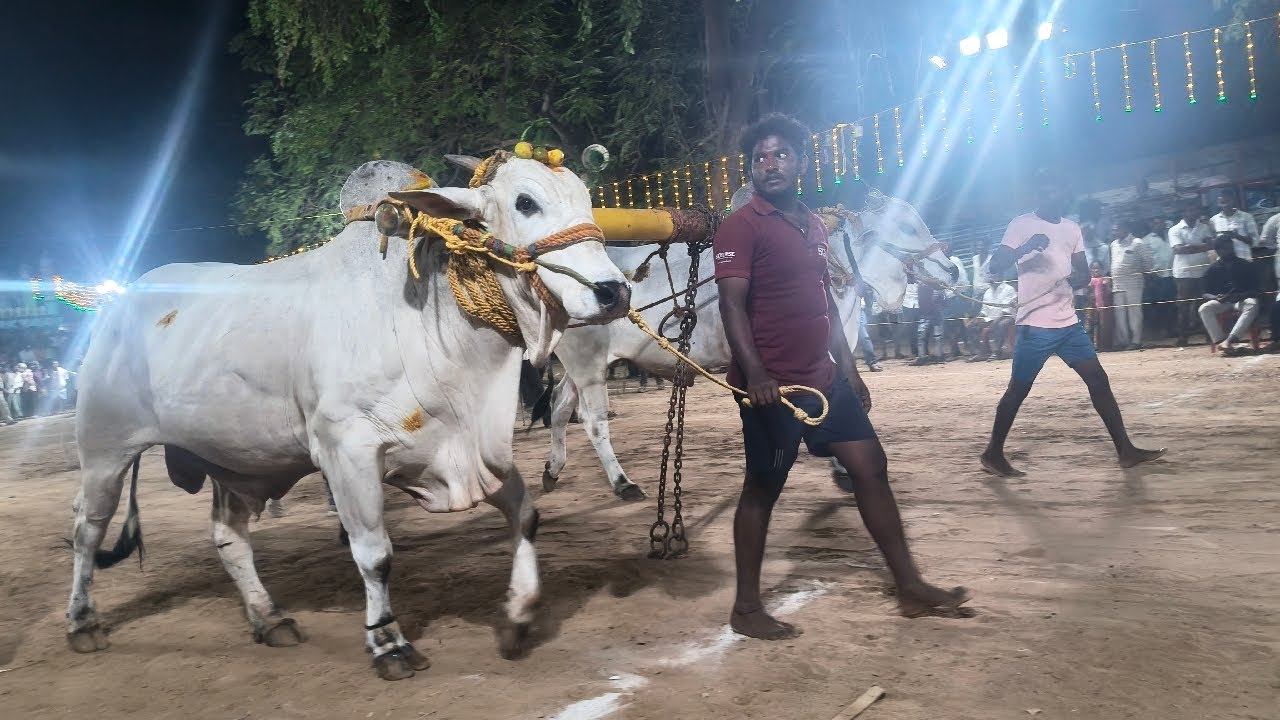 15/2/2026✨🌾ఖాజీపేట,K అగ్రహారం,సేద్యపు విభాగం లో 8 జత ✨🌾