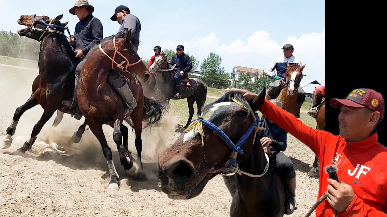 Суусамыр түштүктүн эле эмес, түндүктүнда аттарын алат 👆