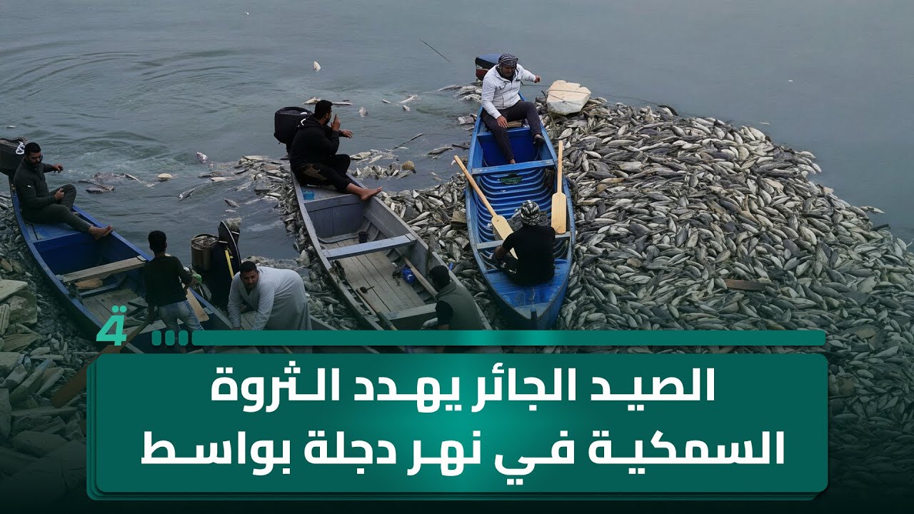الصيد الجائر يهدد الثروة السمكية في نهر دجلة بواسط