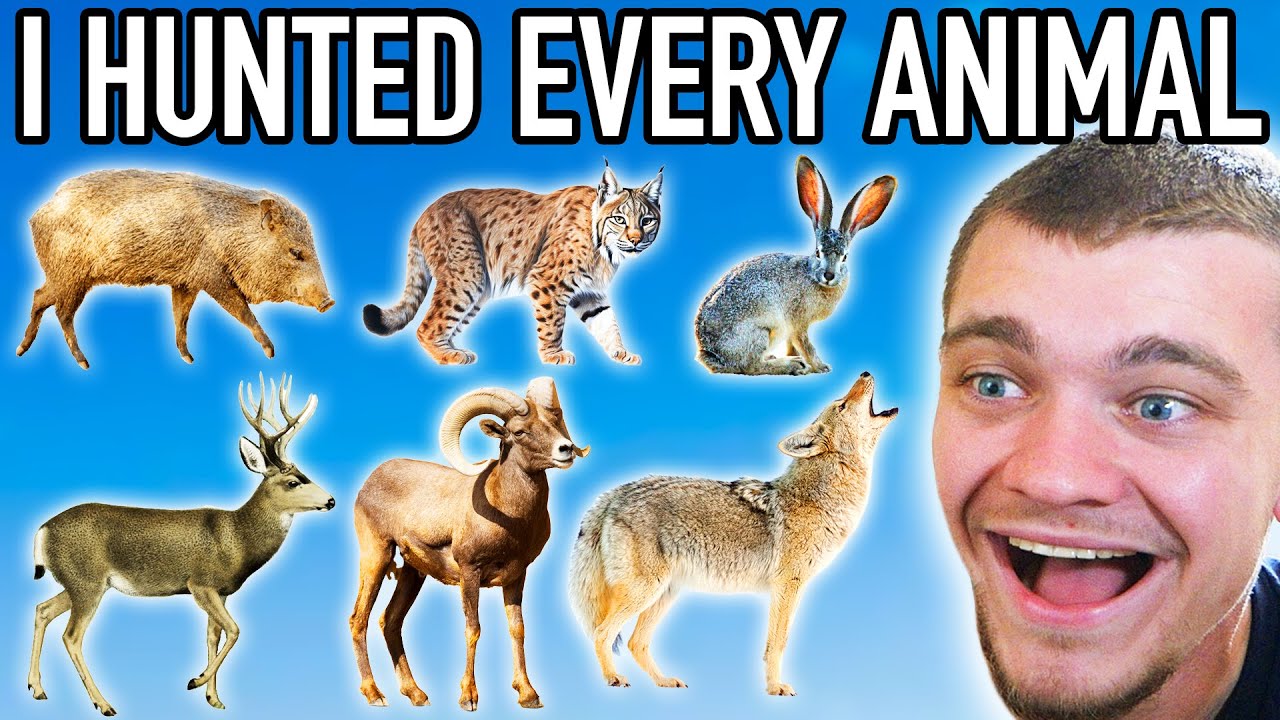 Я охотился на всех животных в Мексике! — Hunter Call of the Wild