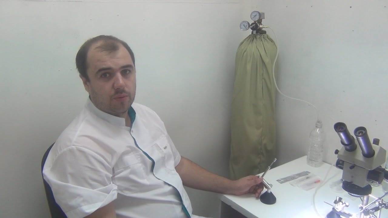 Лаборатория для инструментального осеменения пчелиных маток